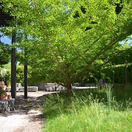 Fischers Herberge Wangen an der Aare Exterior foto